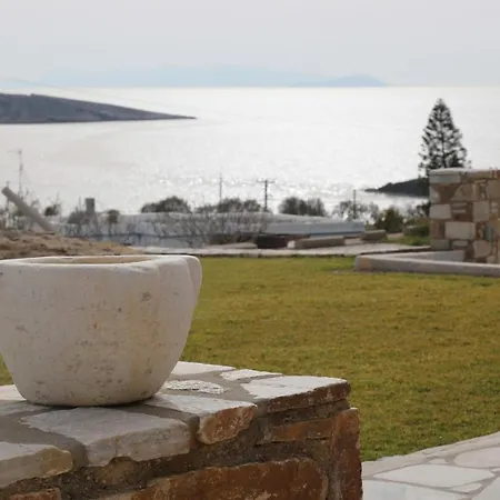 Olea Syros - φοίνικας, σύρος, κυκλάδες Posidhonía